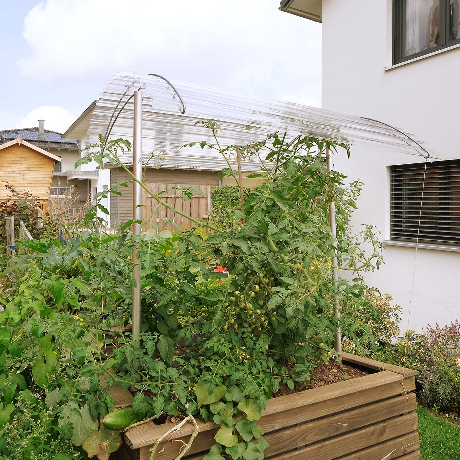 Tomatendach RAPIDO